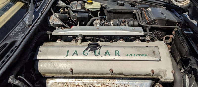 jaguar vin  