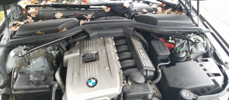 BMW 3-Series Check or Add Brake Fluid