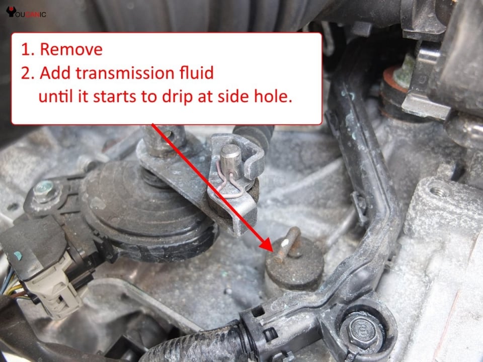 add automatic transmission fluid