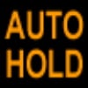 Ford  Automatic Brake Hold Indicator
