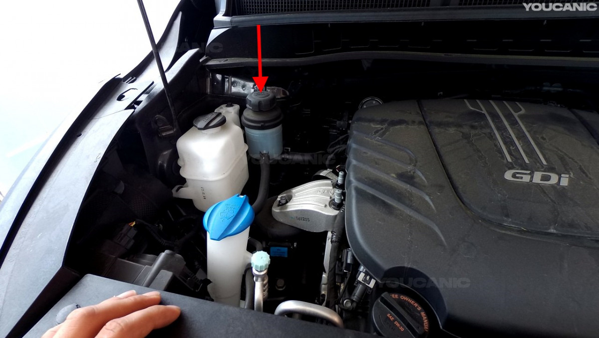 The power steering fluid of the Kia Sedona.